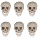 32255994 Holiday/Halloween/Halloween Indoor Decor