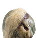 32912606 Holiday/Halloween/Halloween Indoor Decor