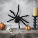 32256120 Holiday/Halloween/Halloween Indoor Decor