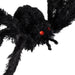 32256120 Holiday/Halloween/Halloween Indoor Decor