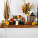 31737149 Holiday/Thanksgiving & Fall/Thanksgiving & Fall Tableware and Decor