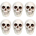 32255997 Holiday/Halloween/Halloween Indoor Decor