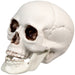 32255997 Holiday/Halloween/Halloween Indoor Decor