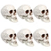 32255997 Holiday/Halloween/Halloween Indoor Decor