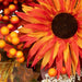 34315237 Holiday/Thanksgiving & Fall/Thanksgiving & Fall Tableware and Decor