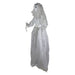 34289230 Holiday/Halloween/Halloween Indoor Decor