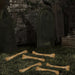 34854959 Holiday/Halloween/Halloween Indoor Decor