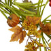 32258308 Holiday/Thanksgiving & Fall/Thanksgiving & Fall Tableware and Decor