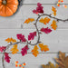 34854992 Holiday/Thanksgiving & Fall/Thanksgiving & Fall Tableware and Decor