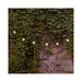 37001 Lighting/Outdoor Lighting/Outdoor String Lights