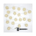 73901 Lighting/Outdoor Lighting/Outdoor String Lights