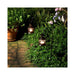 91602 Decor/Candles & Diffusers/Candle Holders