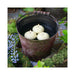 75212 Decor/Candles & Diffusers/Candles