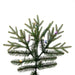 DT213583LEDCC Holiday/Christmas/Christmas Trees