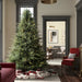 A110376LED Holiday/Christmas/Christmas Trees