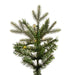 K224081LED Holiday/Christmas/Christmas Trees