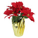 33406653 Holiday/Christmas/Christmas Indoor Decor