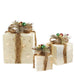 31466971 Holiday/Christmas/Christmas Outdoor Decor