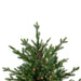 34854962 Holiday/Christmas/Christmas Trees