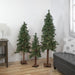 32270772 Holiday/Christmas/Christmas Trees