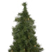 32270772 Holiday/Christmas/Christmas Trees