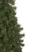 32270772 Holiday/Christmas/Christmas Trees