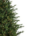 34854963 Holiday/Christmas/Christmas Trees