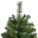 31742036 Holiday/Christmas/Christmas Trees