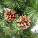 34865505 Holiday/Christmas/Christmas Trees