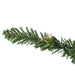 31451227 Holiday/Christmas/Christmas Trees