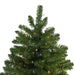 31451227 Holiday/Christmas/Christmas Trees