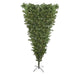 32265442 Holiday/Christmas/Christmas Trees