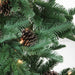 32915574 Holiday/Christmas/Christmas Trees