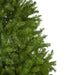 31450638 Holiday/Christmas/Christmas Trees