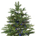 32915606 Holiday/Christmas/Christmas Trees