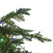 32915606 Holiday/Christmas/Christmas Trees