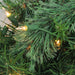 31425158 Holiday/Christmas/Christmas Wreaths & Garlands & Swags