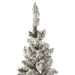 34865260 Holiday/Christmas/Christmas Trees