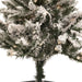 34865260 Holiday/Christmas/Christmas Trees
