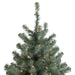 35166983 Holiday/Christmas/Christmas Trees