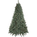 35166983 Holiday/Christmas/Christmas Trees