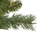 35252109 Holiday/Christmas/Christmas Trees