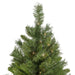 35252109 Holiday/Christmas/Christmas Trees