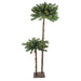 31742041 Holiday/Christmas/Christmas Trees