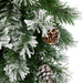 31752241 Holiday/Christmas/Christmas Trees
