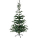 32275088 Holiday/Christmas/Christmas Trees