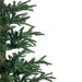 32275088 Holiday/Christmas/Christmas Trees