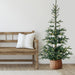 32275088 Holiday/Christmas/Christmas Trees