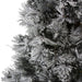 33388949 Holiday/Christmas/Christmas Trees