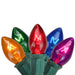 31476002 Holiday/Christmas/Christmas Lights